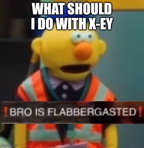 Flabbergasted Yellow Guy | WHAT SHOULD I DO WITH X-EY | image tagged in flabbergasted yellow guy | made w/ Imgflip meme maker