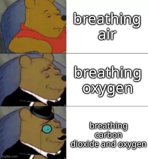 Fancy pooh | breathing air breathing oxygen breathing carbon dioxide and oxygen | image tagged in fancy pooh | made w/ Imgflip meme maker