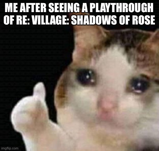 SoR almost made me cry | ME AFTER SEEING A PLAYTHROUGH OF RE: VILLAGE: SHADOWS OF ROSE | image tagged in sad thumbs up cat | made w/ Imgflip meme maker