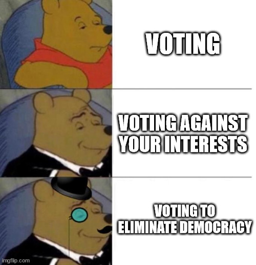 Vote and Die | VOTING; VOTING AGAINST YOUR INTERESTS; VOTING TO ELIMINATE DEMOCRACY | image tagged in tuxedo winnie the pooh 3 panel | made w/ Imgflip meme maker