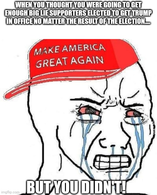 Magafail | WHEN YOU THOUGHT YOU WERE GOING TO GET ENOUGH BIG LIE SUPPORTERS ELECTED TO GET TRUMP IN OFFICE NO MATTER THE RESULT OF THE ELECTION.... BUT YOU DIDN'T! | image tagged in trump,conservative,republican,democrat,liberal,election | made w/ Imgflip meme maker