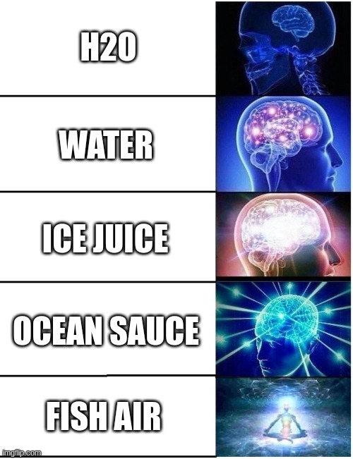 Expanding Brain 5 Panel | H2O; WATER; ICE JUICE; OCEAN SAUCE; FISH AIR | image tagged in expanding brain 5 panel | made w/ Imgflip meme maker