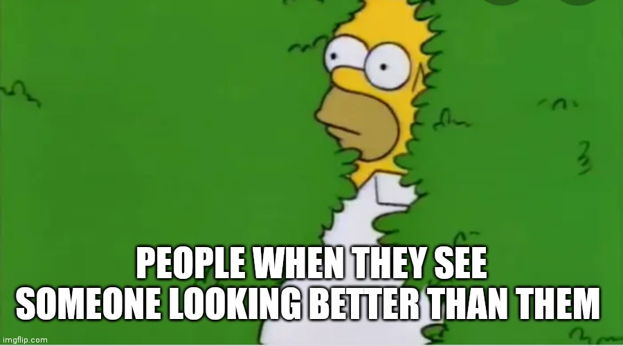 I got to approve feeling | PEOPLE WHEN THEY SEE SOMEONE LOOKING BETTER THAN THEM | image tagged in funny memes | made w/ Imgflip meme maker