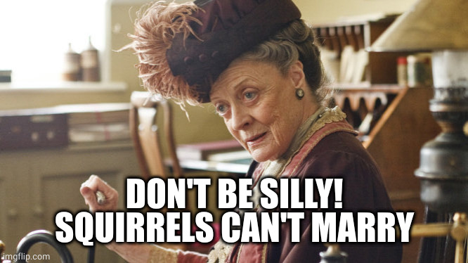 Maggie Smith Silly String | DON'T BE SILLY!
SQUIRRELS CAN'T MARRY | image tagged in maggie smith silly string | made w/ Imgflip meme maker