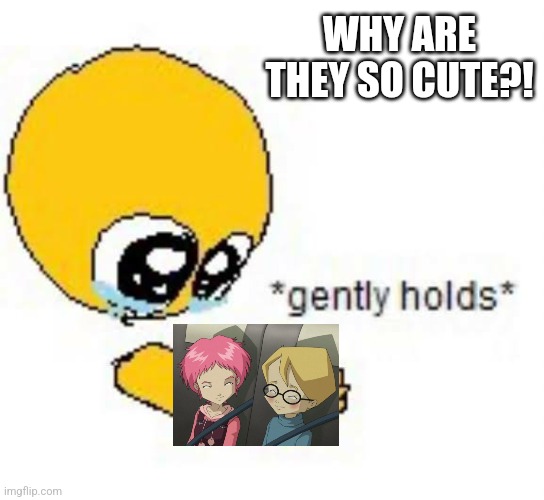 Gently holds emoji | WHY ARE THEY SO CUTE?! | image tagged in gently holds emoji | made w/ Imgflip meme maker