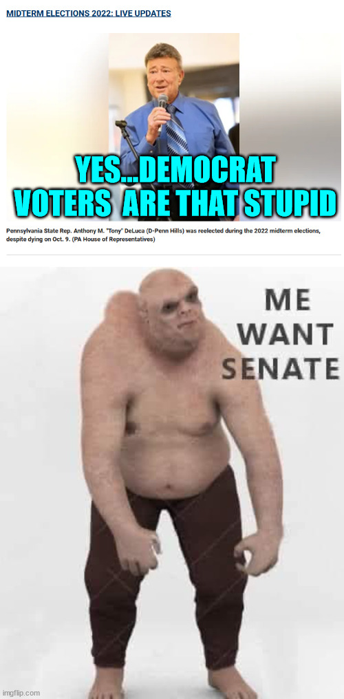 I'll bet the guy even voted for himself too... | YES...DEMOCRAT VOTERS  ARE THAT STUPID | image tagged in stupid people | made w/ Imgflip meme maker
