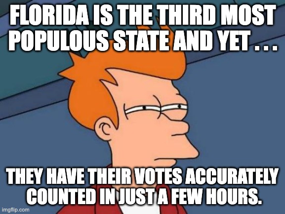 Florida banned mass ballot drops, has an Election Police Force, and requires voter ID. Do the math. | FLORIDA IS THE THIRD MOST POPULOUS STATE AND YET . . . THEY HAVE THEIR VOTES ACCURATELY 
COUNTED IN JUST A FEW HOURS. | image tagged in memes,futurama fry,voter fraud,democrat cheats | made w/ Imgflip meme maker