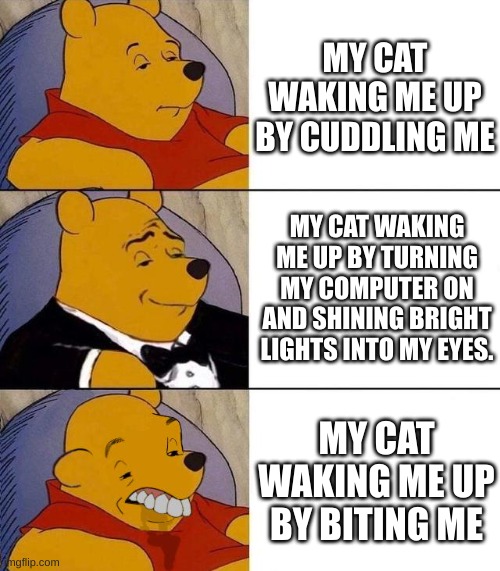 All of these my cat has done to me | MY CAT WAKING ME UP BY CUDDLING ME; MY CAT WAKING ME UP BY TURNING MY COMPUTER ON AND SHINING BRIGHT LIGHTS INTO MY EYES. MY CAT WAKING ME UP BY BITING ME | image tagged in best better blurst | made w/ Imgflip meme maker