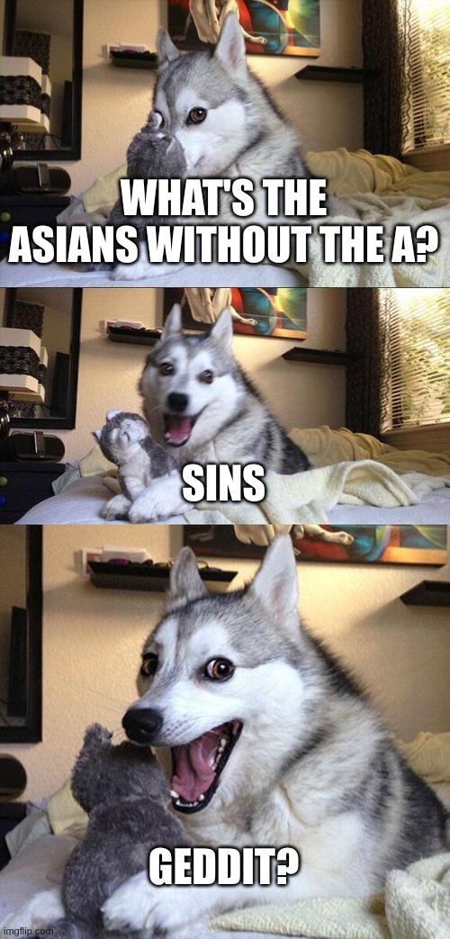 Im allowed to say this cause im asian Mod note: LMAO | WHAT'S THE ASIANS WITHOUT THE A? SINS; GEDDIT? | image tagged in memes,bad pun dog,asian | made w/ Imgflip meme maker