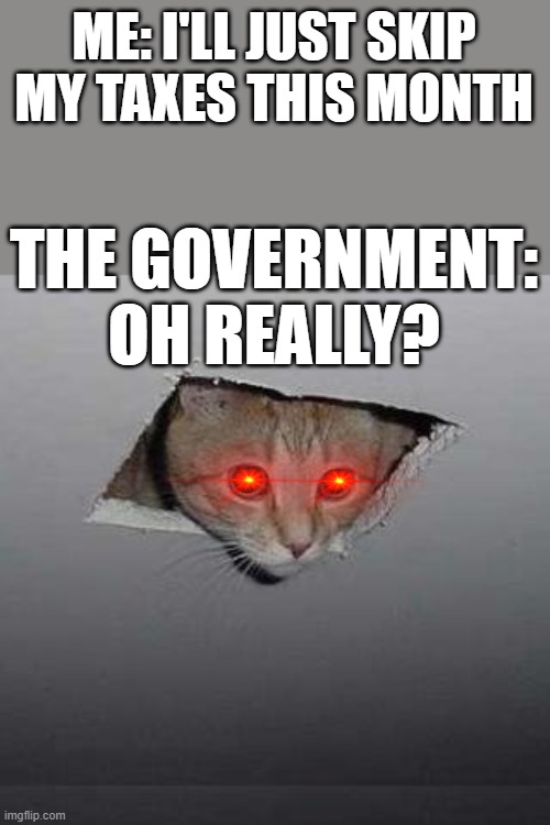 Spy Cat | ME: I'LL JUST SKIP MY TAXES THIS MONTH; THE GOVERNMENT:
OH REALLY? | image tagged in memes,ceiling cat,cats,government,taxes,spying | made w/ Imgflip meme maker