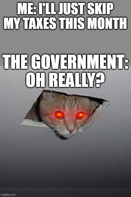 Cat Spy | ME: I'LL JUST SKIP MY TAXES THIS MONTH; THE GOVERNMENT:
OH REALLY? | image tagged in memes,ceiling cat,cats,spying,government,taxes | made w/ Imgflip meme maker