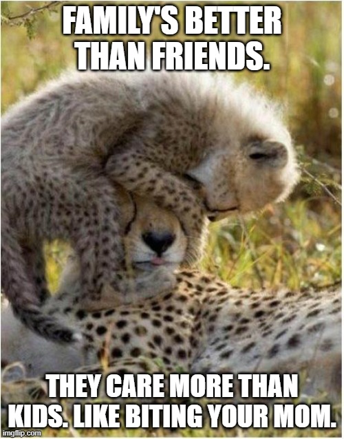 Kids | FAMILY'S BETTER THAN FRIENDS. THEY CARE MORE THAN KIDS. LIKE BITING YOUR MOM. | image tagged in kids | made w/ Imgflip meme maker