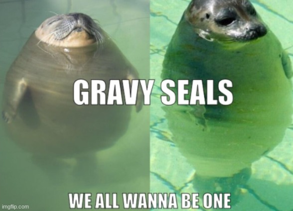 the gravy seals | image tagged in funny | made w/ Imgflip meme maker