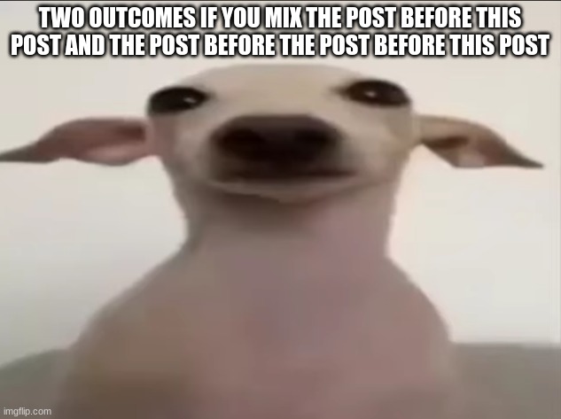 dogbby | TWO OUTCOMES IF YOU MIX THE POST BEFORE THIS POST AND THE POST BEFORE THE POST BEFORE THIS POST | image tagged in dogbby | made w/ Imgflip meme maker