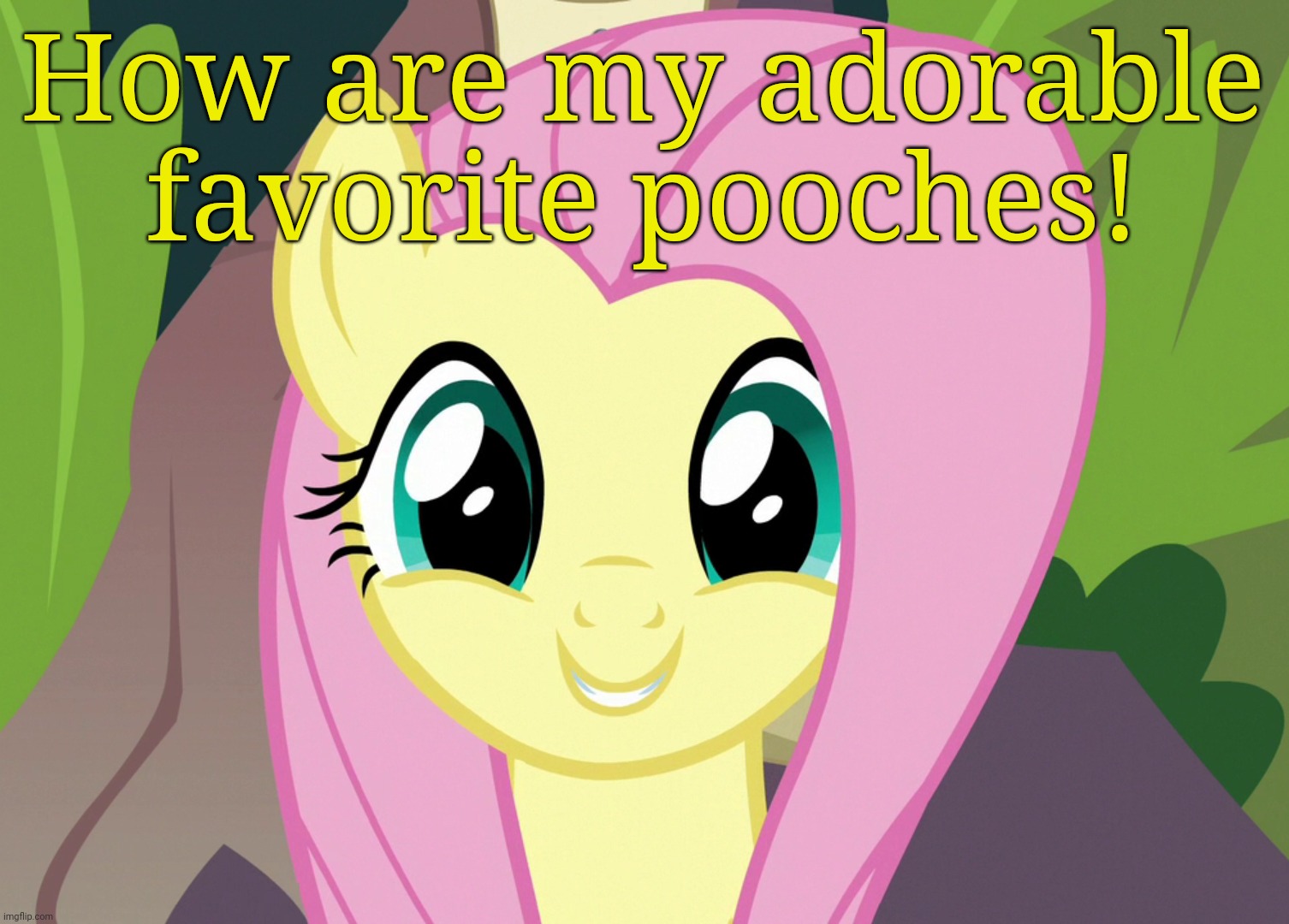 Shyabetes 2 (MLP) | How are my adorable favorite pooches! | image tagged in shyabetes 2 mlp | made w/ Imgflip meme maker