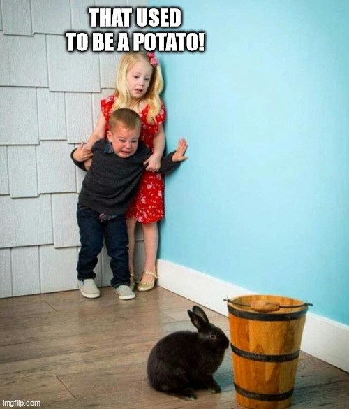 Children scared of rabbit | THAT USED TO BE A POTATO! | image tagged in children scared of rabbit | made w/ Imgflip meme maker