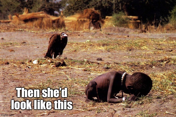 starving girl and vulture | Then she’d look like this | image tagged in starving girl and vulture | made w/ Imgflip meme maker