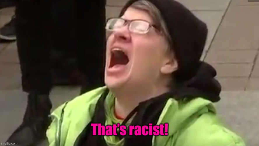 Screaming Liberal  | That’s racist! | image tagged in screaming liberal | made w/ Imgflip meme maker