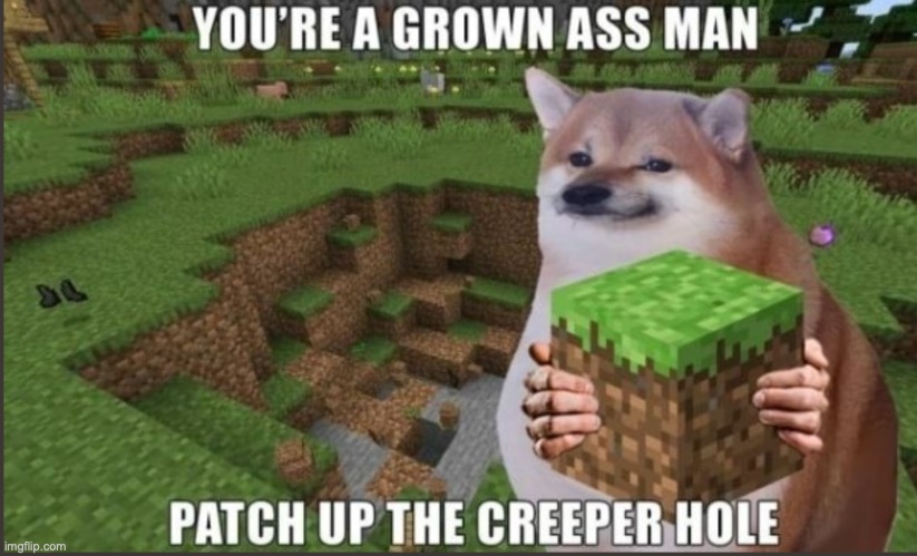 Creeper.... | image tagged in cool cat stroll,bomb | made w/ Imgflip meme maker