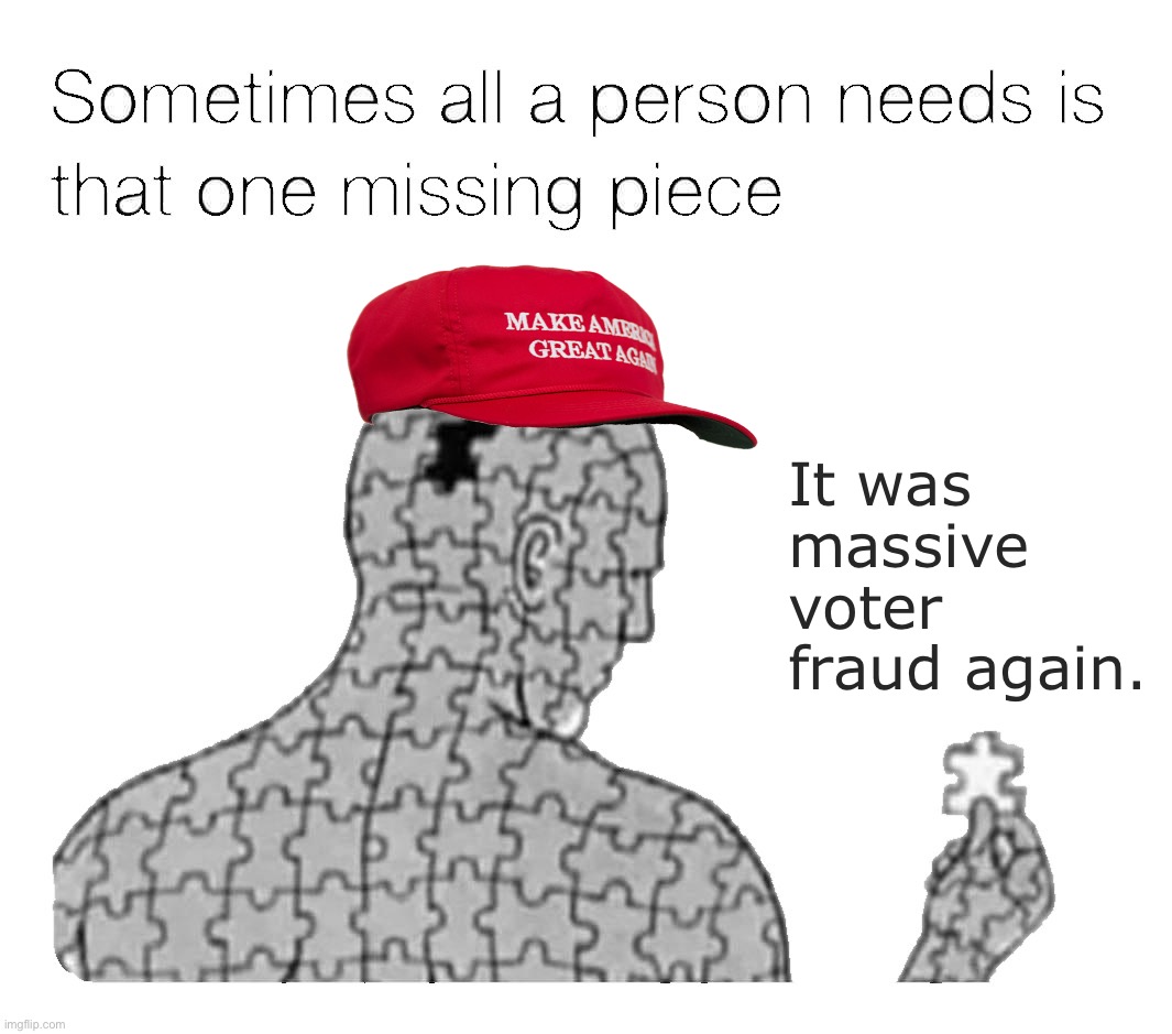 That One Missing Piece | It was massive voter fraud again. | image tagged in that one missing piece | made w/ Imgflip meme maker