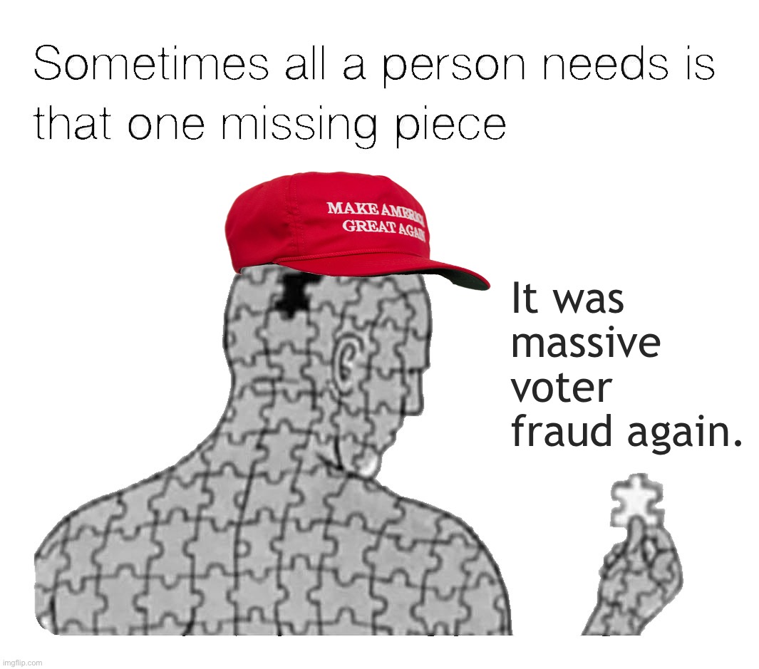 That One Missing Piece | It was massive voter fraud again. | image tagged in that one missing piece | made w/ Imgflip meme maker