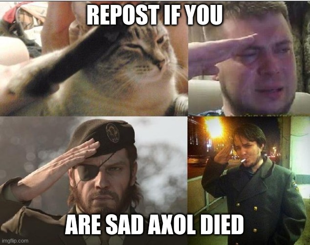 Mod Note: Let's find his reboot card and get him and melony together | REPOST IF YOU; ARE SAD AXOL DIED | image tagged in sad salute | made w/ Imgflip meme maker