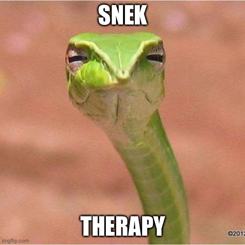 Snek therapy | SNEK THERAPY | image tagged in snek blank,therapy | made w/ Imgflip meme maker