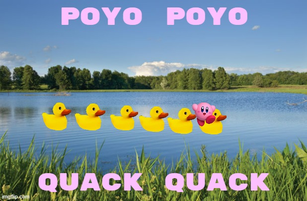 kirby and the ducks | POYO POYO; QUACK QUACK | image tagged in forden pond,ducks,nintendo,kirby | made w/ Imgflip meme maker