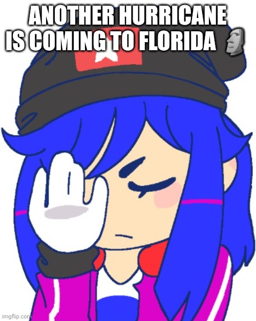 Just put me on the FBI watchlist if ya want me dead already, smh | ANOTHER HURRICANE IS COMING TO FLORIDA 🗿 | image tagged in pie charts | made w/ Imgflip meme maker