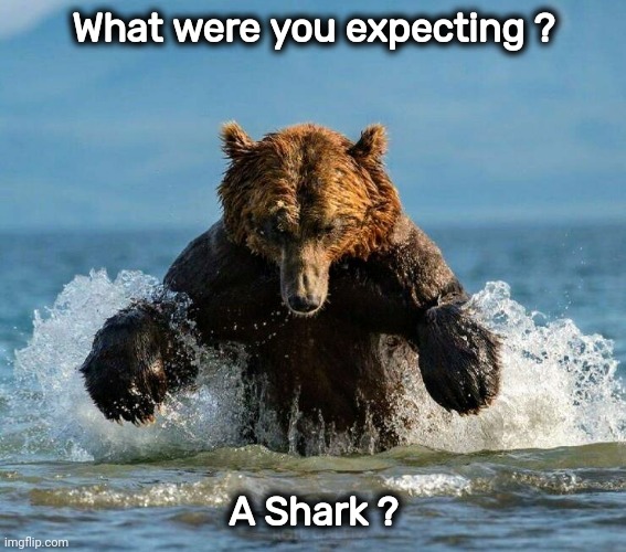 A Surprise from Nature | What were you expecting ? A Shark ? | image tagged in run,swim,how about no bear,switch,fool me once | made w/ Imgflip meme maker