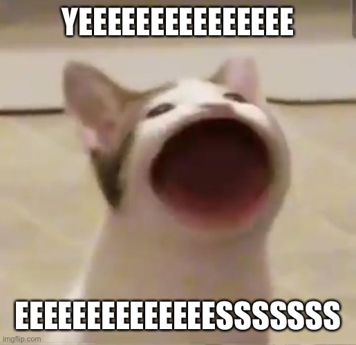 Pop Cat | YEEEEEEEEEEEEEEE EEEEEEEEEEEEEESSSSSSS | image tagged in pop cat | made w/ Imgflip meme maker