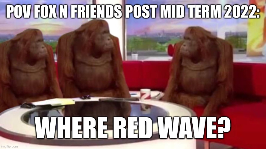 POV Fox n friends post mid term 2022: | POV FOX N FRIENDS POST MID TERM 2022:; WHERE RED WAVE? | image tagged in orangutan interview,midterms,2022 | made w/ Imgflip meme maker