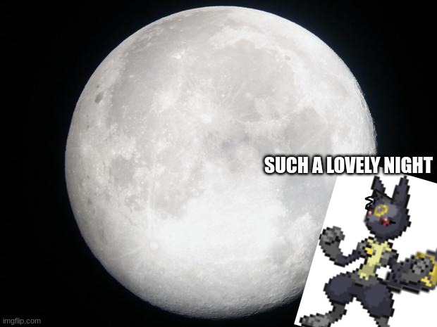 tsuki short: moon | SUCH A LOVELY NIGHT | image tagged in full moon | made w/ Imgflip meme maker