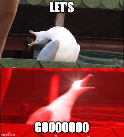 let's go duck | LET'S; GOOOOOOO | image tagged in screaming bird | made w/ Imgflip meme maker