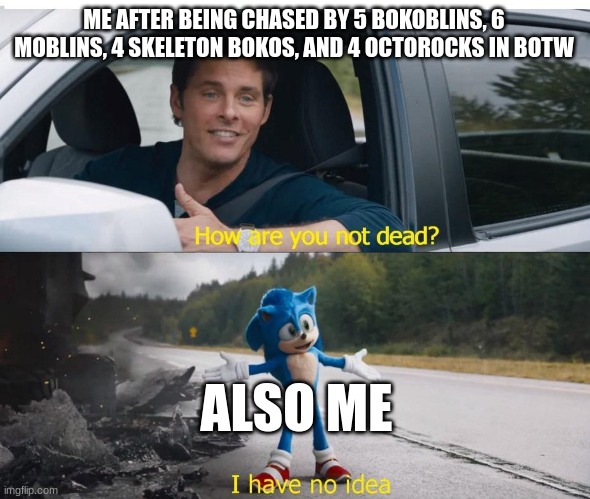I'm insane | ME AFTER BEING CHASED BY 5 BOKOBLINS, 6 MOBLINS, 4 SKELETON BOKOS, AND 4 OCTOROCKS IN BOTW; ALSO ME | image tagged in sonic how are you not dead,botw,the legend of zelda breath of the wild | made w/ Imgflip meme maker