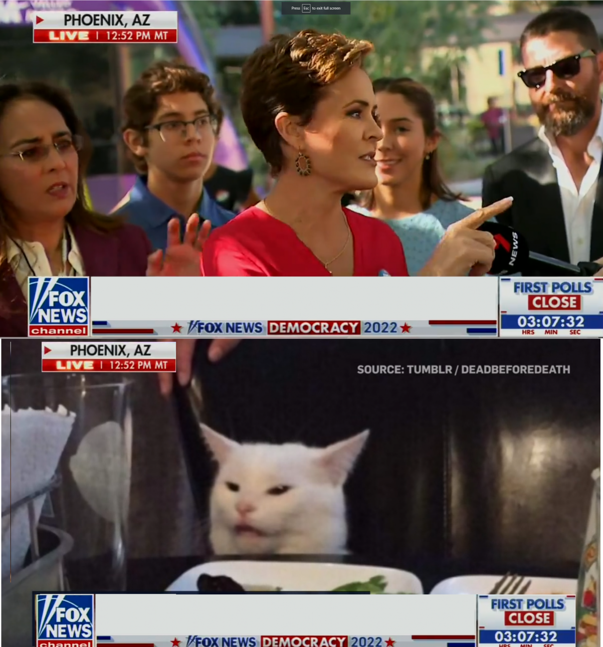 Angry Kari Lake Yells At Reporter Cat Blank Meme Template
