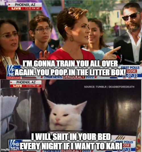 Angry Kari Lake Yells At Reporter Cat | I'M GONNA TRAIN YOU ALL OVER AGAIN. YOU POOP IN THE LITTER BOX! I WILL SHIT IN YOUR BED EVERY NIGHT IF I WANT TO KARI | image tagged in angry kari lake yells at reporter cat | made w/ Imgflip meme maker