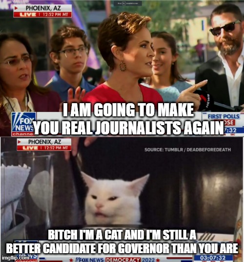 Angry Kari Lake Yells At Reporter Cat | I AM GOING TO MAKE YOU REAL JOURNALISTS AGAIN; BITCH I'M A CAT AND I'M STILL A BETTER CANDIDATE FOR GOVERNOR THAN YOU ARE | image tagged in angry kari lake yells at reporter cat | made w/ Imgflip meme maker