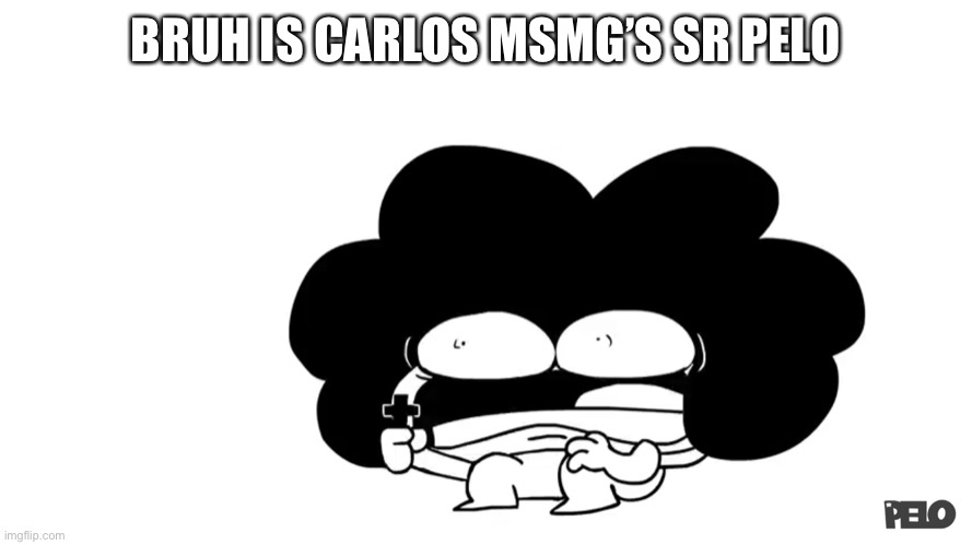 Pelo | BRUH IS CARLOS MSMG’S SR PELO | image tagged in pelo | made w/ Imgflip meme maker