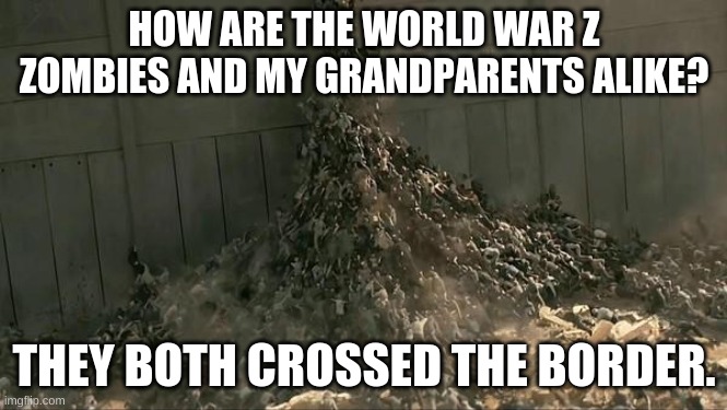 Wait one second | HOW ARE THE WORLD WAR Z ZOMBIES AND MY GRANDPARENTS ALIKE? THEY BOTH CROSSED THE BORDER. | image tagged in world war z meme | made w/ Imgflip meme maker