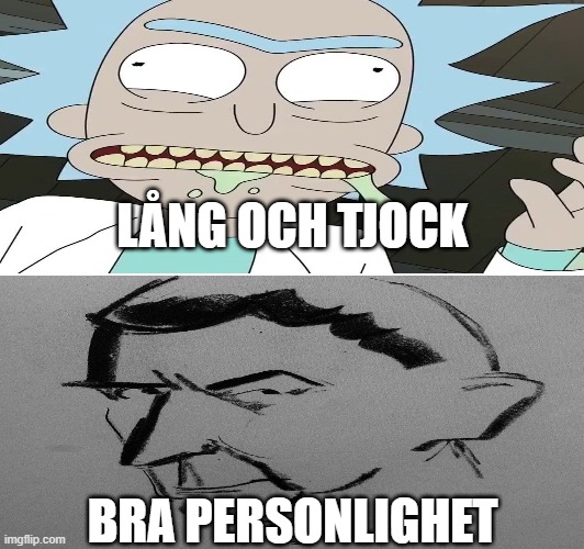 perfektion | LÅNG OCH TJOCK; BRA PERSONLIGHET | image tagged in lol so funny | made w/ Imgflip meme maker