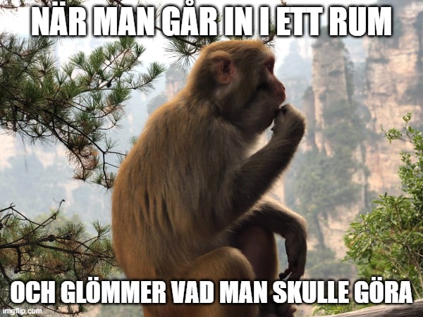 jag har det på tungan, kommer på det snart | NÄR MAN GÅR IN I ETT RUM; OCH GLÖMMER VAD MAN SKULLE GÖRA | made w/ Imgflip meme maker