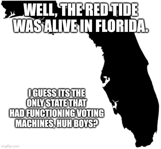 Red Tide in Florida!  The only State with legitimate electronic voting! | WELL, THE RED TIDE WAS ALIVE IN FLORIDA. I GUESS ITS THE ONLY STATE THAT HAD FUNCTIONING VOTING MACHINES, HUH BOYS? | image tagged in florida | made w/ Imgflip meme maker