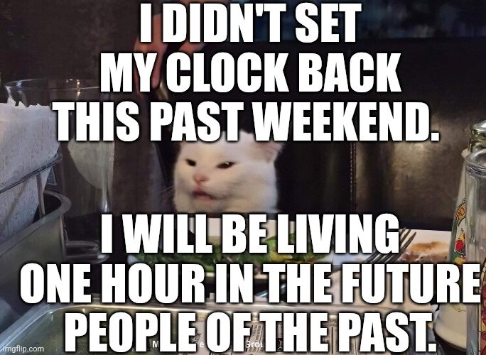 I DIDN'T SET MY CLOCK BACK THIS PAST WEEKEND. I WILL BE LIVING ONE HOUR IN THE FUTURE PEOPLE OF THE PAST. | image tagged in smudge the cat | made w/ Imgflip meme maker