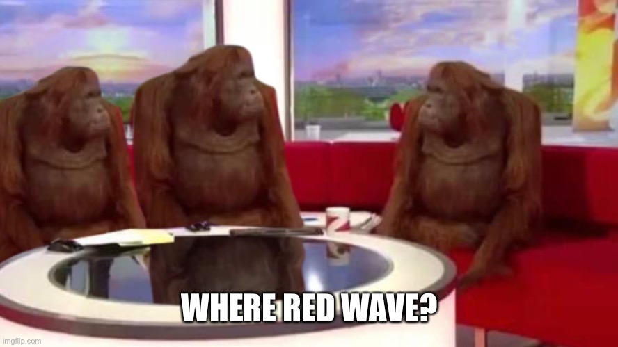 orangutan interview | WHERE RED WAVE? | image tagged in orangutan interview | made w/ Imgflip meme maker