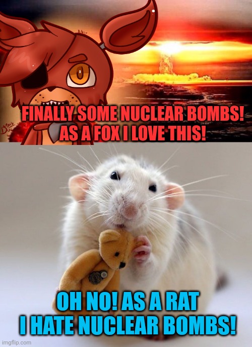 Important fox and rat facts | FINALLY SOME NUCLEAR BOMBS!
AS A FOX I LOVE THIS! OH NO! AS A RAT I HATE NUCLEAR BOMBS! | image tagged in elmo nuclear explosion,fox,rat,facts | made w/ Imgflip meme maker