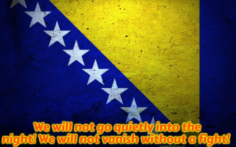 Bosnian Flag | We will not go quietly into the night! We will not vanish without a fight! | image tagged in bosnian flag,slavic,bosnian war | made w/ Imgflip meme maker