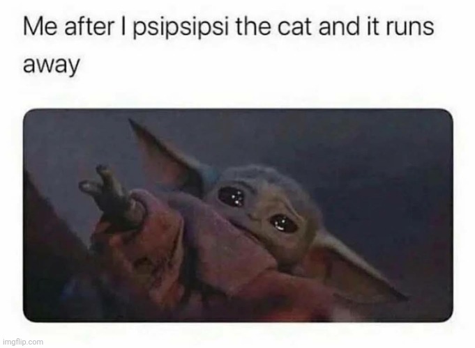 :( | image tagged in cats,baby yoda | made w/ Imgflip meme maker
