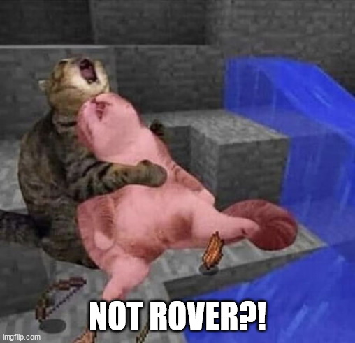 Cat cry minecraft | NOT ROVER?! | image tagged in cat cry minecraft | made w/ Imgflip meme maker