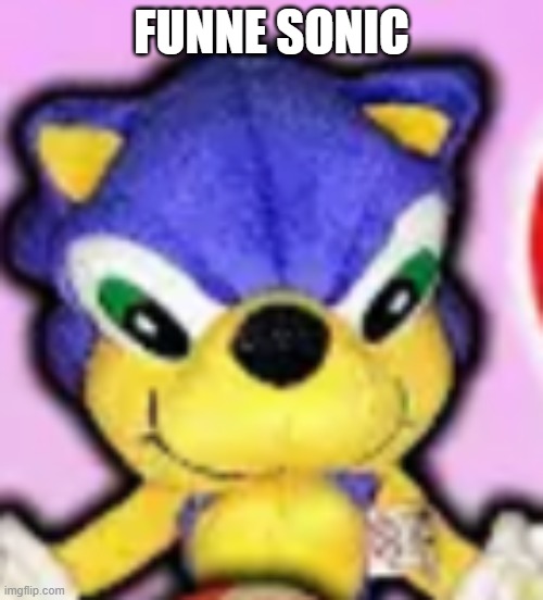 soncic | FUNNE SONIC | image tagged in soncic,sonic the hedgehog | made w/ Imgflip meme maker